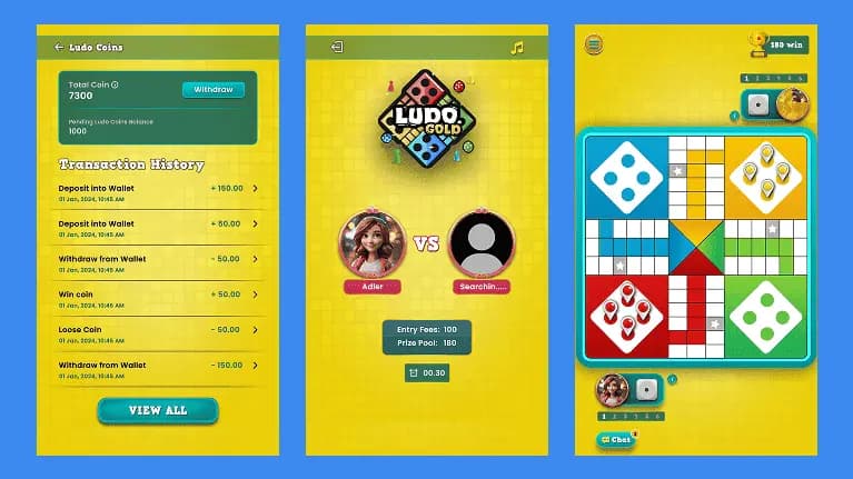 Transaction Screen - Best Ludo Game App Development transaction screen - best ludo game app development