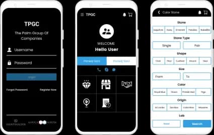 The palm Group Of Companies the palm group of companies