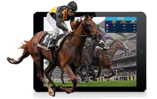 handicapping software for horse racing