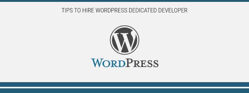 What To Look For While Hiring WordPress Developers