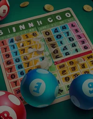 Bingo Game bingo game