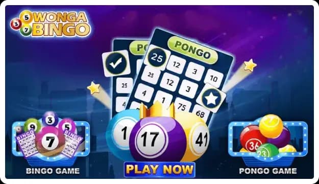 Bingo Software Canada bingo software canada